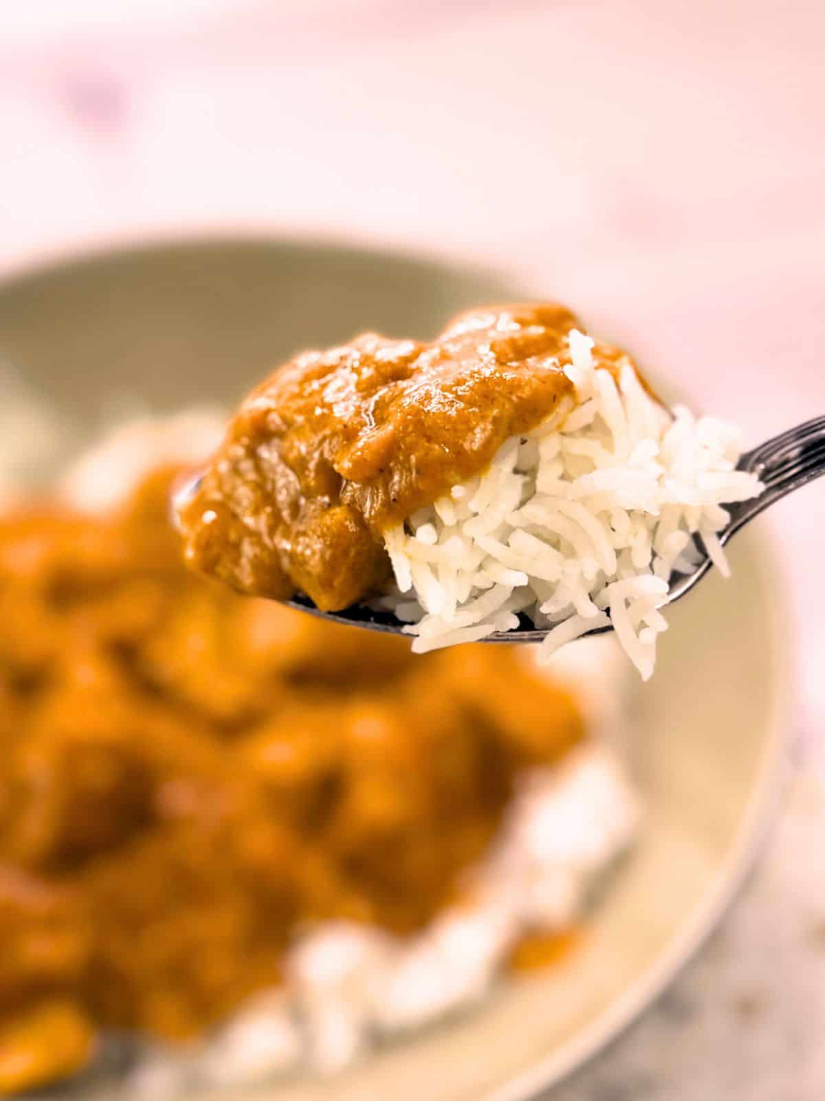 Chicken curry and rice on spoon in foreground